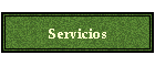 Servicios